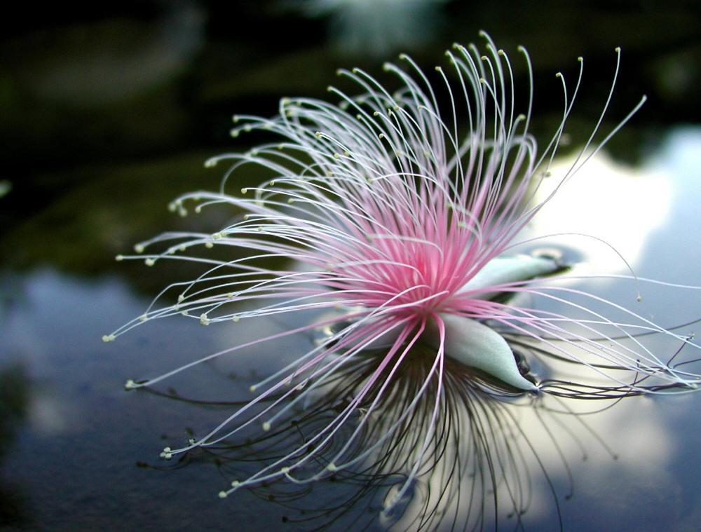 Ilmare Unarizaki Urauchi ภายนอก รูปภาพ